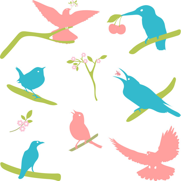 Vector Collection of Bird Silhouettes, colored silhouettes. - Vektor, obrázek