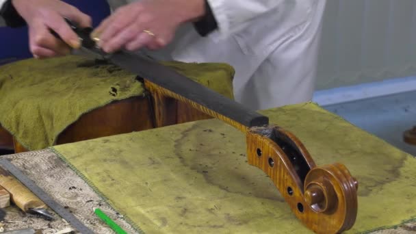 a hangszerkészítő helyettesíti a érint-ból egy cselló - Felvétel, videó