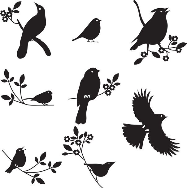 Vector Collection of Bird Silhouettes - Vector, Imagen