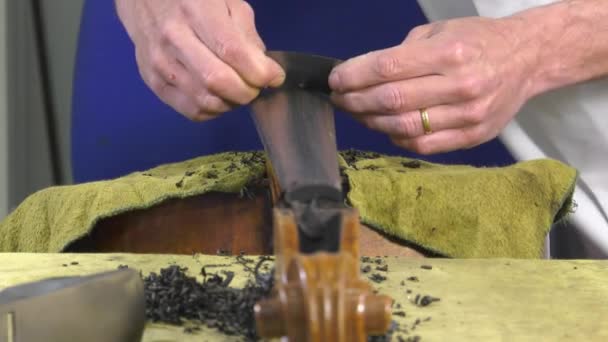 un luthier reemplaza el toque de un violonchelo
 - Metraje, vídeo
