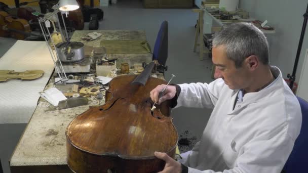 Geigenbauer positioniert eine Cello-Seele - Filmmaterial, Video