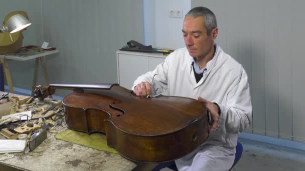 Geigenbauer positioniert eine Cello-Seele - Filmmaterial, Video