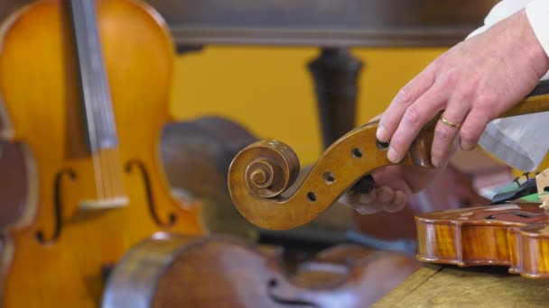 der Geigenbauer baut vier Saiten auf - Filmmaterial, Video
