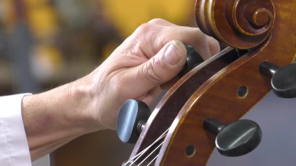 A lutier dallam a négy strings cselló - Felvétel, videó