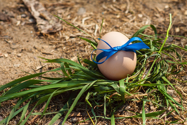 Easter eggs on green grass - Fotó, kép
