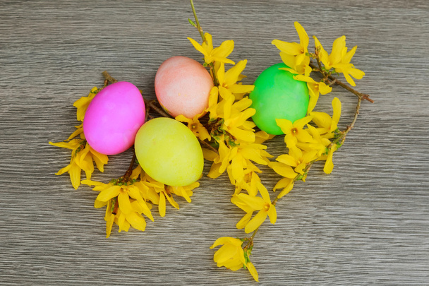 Paskalya yumurtaları çiçekli ağaç dal - Fotoğraf, Görsel