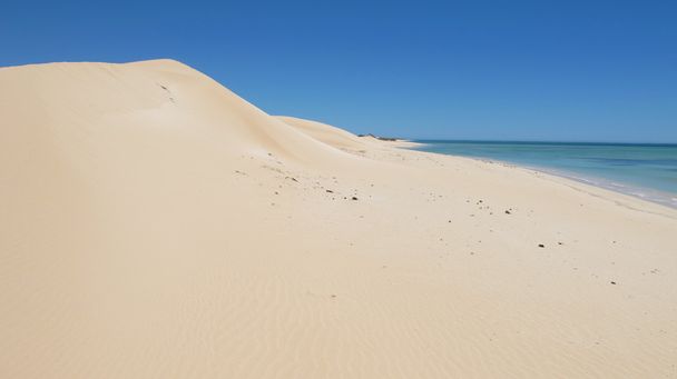 ニンガルー海岸、ケープレンジ国立公園、西オーストラリア - 写真・画像