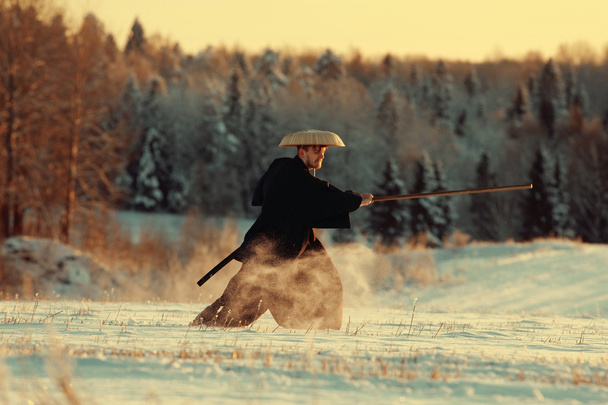 Samurai in winter field - Foto, immagini