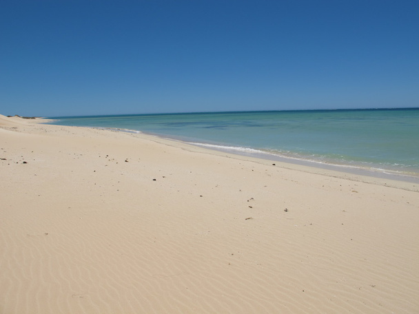 Ningaloo kust, Nationaal Park Cape Range, West-Australië - Foto, afbeelding