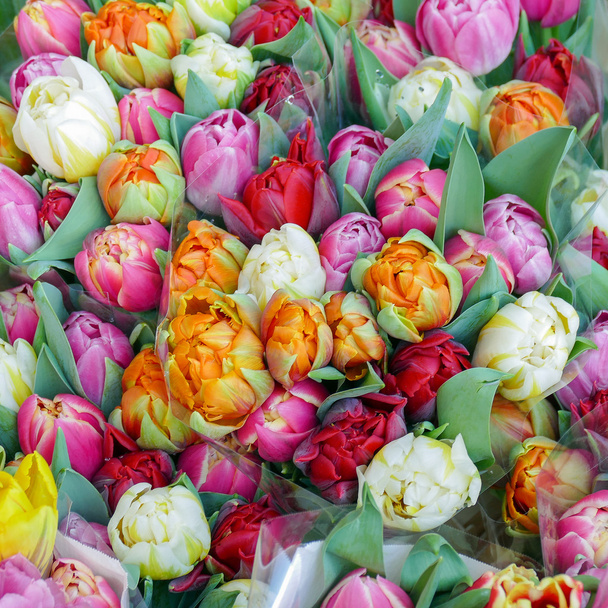 Букеты с тюльпанами на продажу
. - Фото, изображение