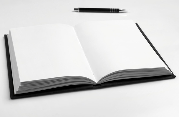 Книга и ручка
 - Фото, изображение