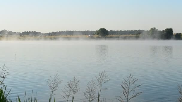 Piękna mgła unosi się rano nad powierzchnią wody jeziora - Materiał filmowy, wideo