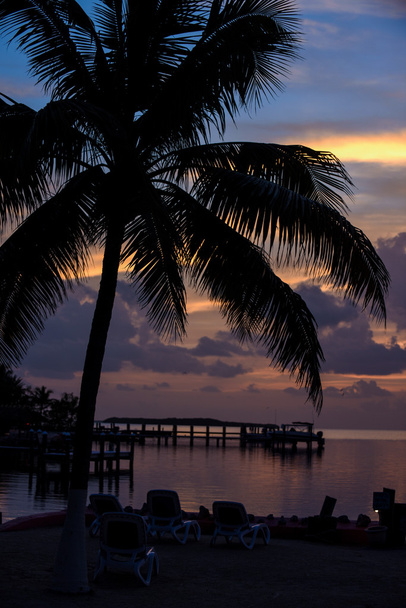 Puesta de sol en la ubicación tropical de Florida Keys
 - Foto, imagen