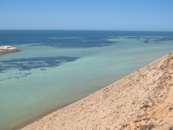 Parque Nacional Francois Perón, Shark Bay, Australia Occidental
 - Foto, imagen