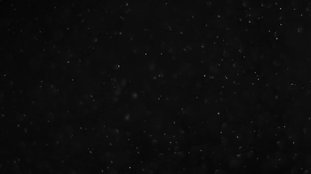 Σκόνη σύννεφο απομονωθεί μαύρο φόντο φούσκα Bokeh - Πλάνα, βίντεο