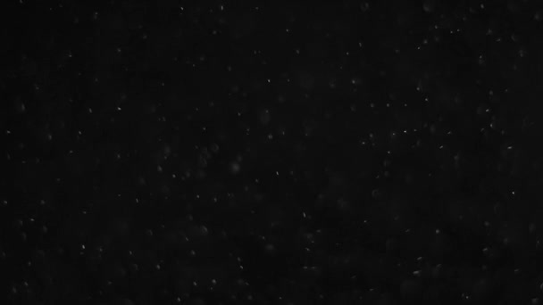 пылевое облако изолированный черный пузырь bokeh
 - Кадры, видео