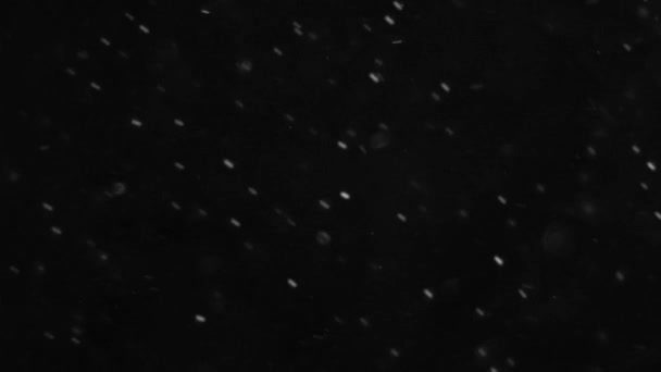 Pyły chmura na białym tle czarnym tle Bubble Bokeh - Materiał filmowy, wideo