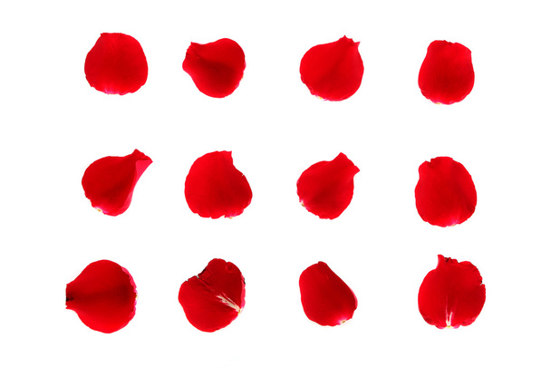 κόκκινα ροδοπέταλα - Φωτογραφία, εικόνα