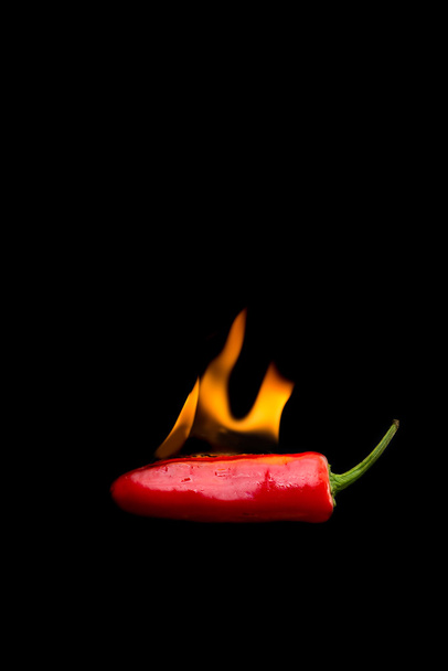 火の赤唐辛子 - 写真・画像