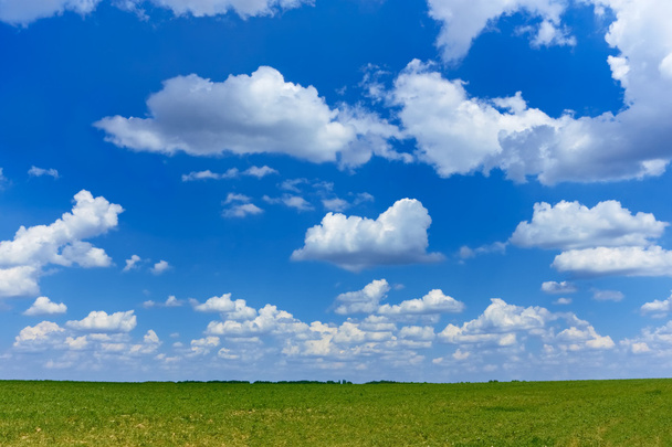 Cloudscape yli vihreä kenttä
 - Valokuva, kuva