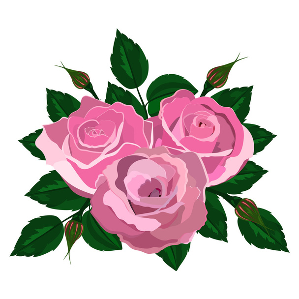 boeket van roze rozen  - Vector, afbeelding