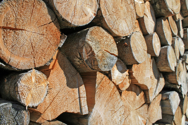 Logs cut a huge outdoor summer Woodshed - Photo, Image