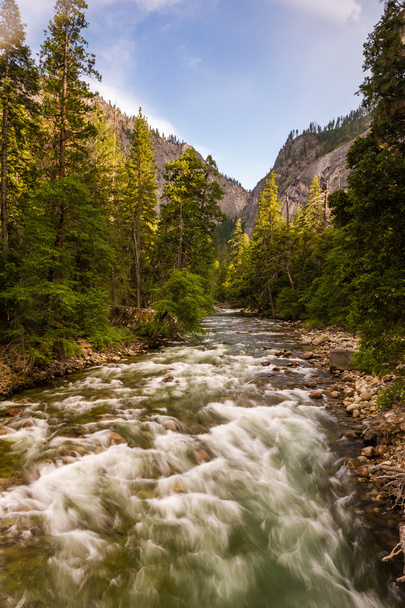Швидкий тече річка в національному парку Йосеміті - Фото, зображення