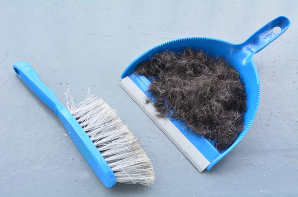 Vassoura escova com limpeza de pó cabelo humano
  - Foto, Imagem