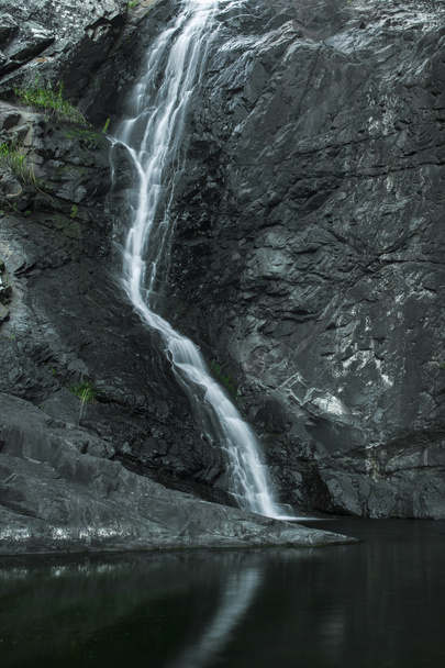 Cedar Creek Falls in Mount Tamborine - Photo, Image