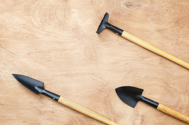 Zestaw narzędzi dla ogrodnictwa na drewnianym stole. - Zdjęcie, obraz