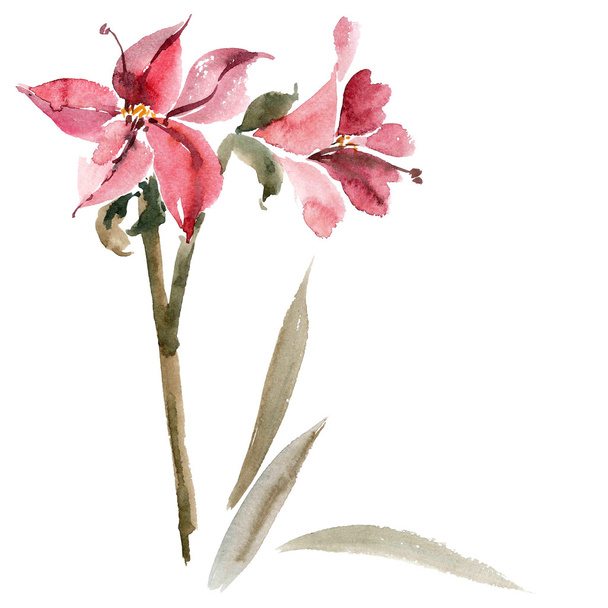 rode bloem illustratie - Foto, afbeelding