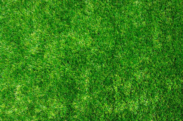 Background green lawn - Photo, Image