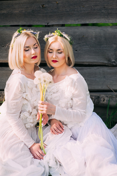 Twin Sisters blowing dandelions - Foto, afbeelding
