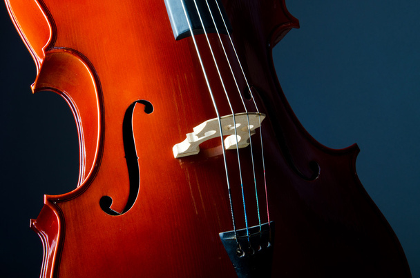 Music concept- close up of cello - Foto, afbeelding