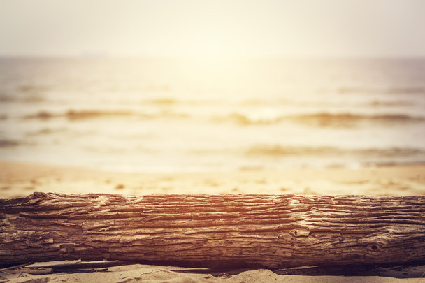 tronco de árvore deitado na praia
  - Foto, Imagem