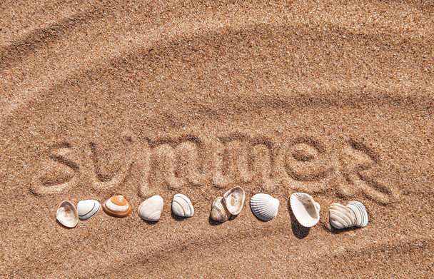 Kesätausta. Sana kesä ja simpukat hiekalla
 - Valokuva, kuva