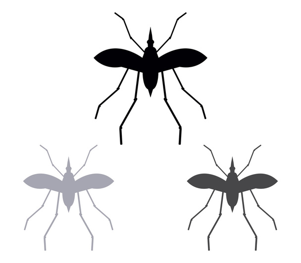 白い背景の上の蚊 - 写真・画像