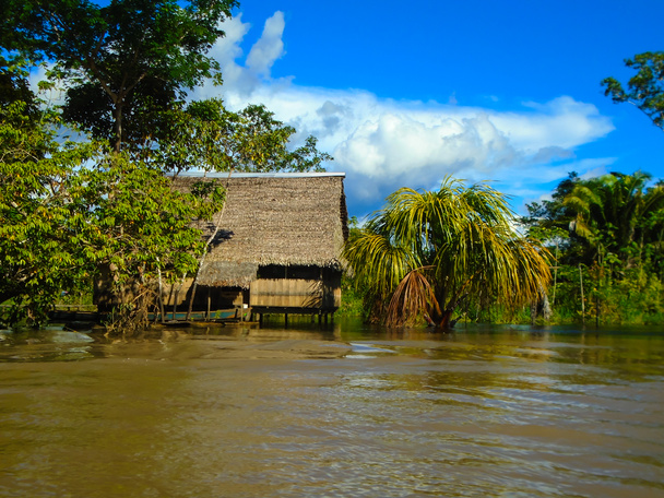 Capanna sul Rio delle Amazzoni
 - Foto, immagini