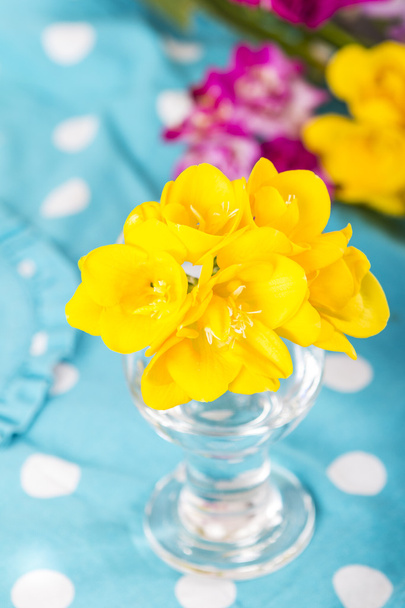 Kauniita kukkia freesia lähikuva
 - Valokuva, kuva