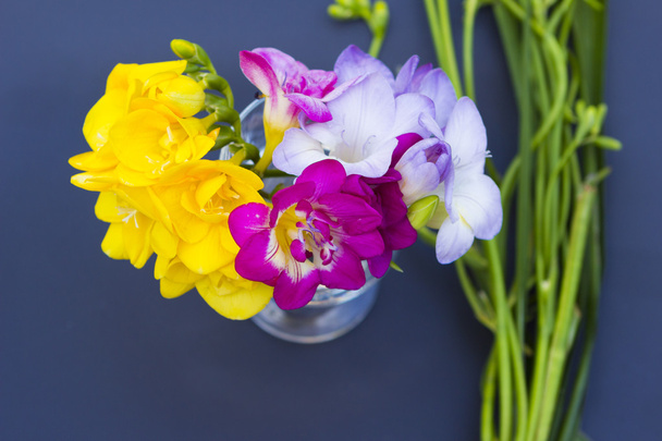 Beautiful flowers of freesia close up - Photo, Image
