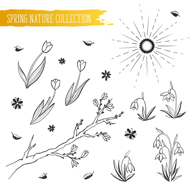 spring flowers collection - Vector, afbeelding