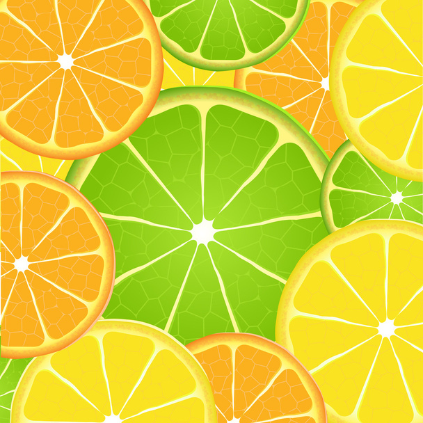 Citrus fruit slice background - Vector, afbeelding