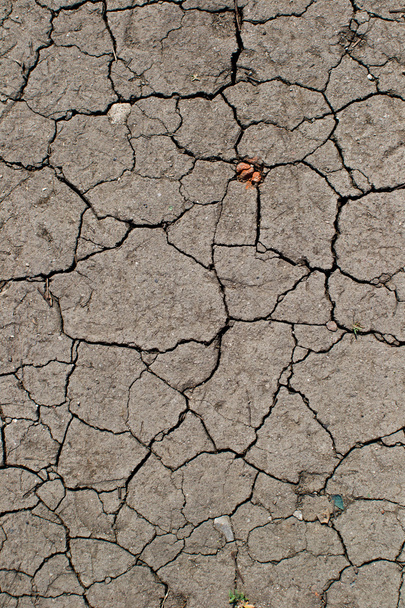 Cracked clay ground - Photo, Image