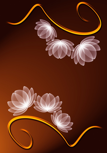 Transparent flowers - Foto, Imagem