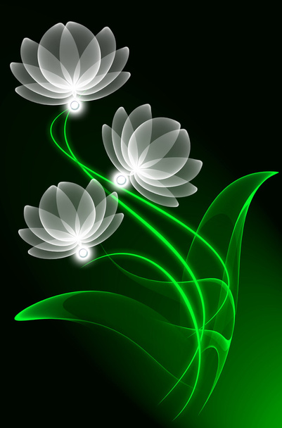 Transparent flowers - Foto, imagen