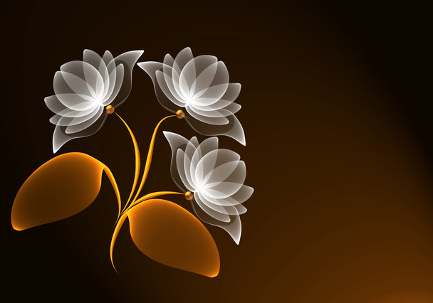 Transparent flowers - Foto, immagini