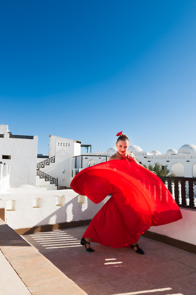 Flamenco dancer - Valokuva, kuva