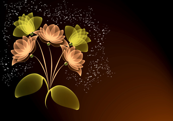 Transparent flowers - Foto, imagen