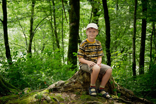 chłopak siedzi w dzikich lasach na pniu i uśmiechy - Zdjęcie, obraz