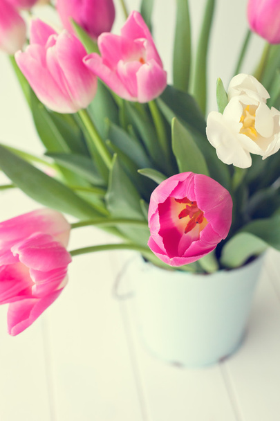 spring tulips in bucket - Photo, image